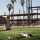 A man lay on the grass as the temperature reached 115 degrees in California this June.